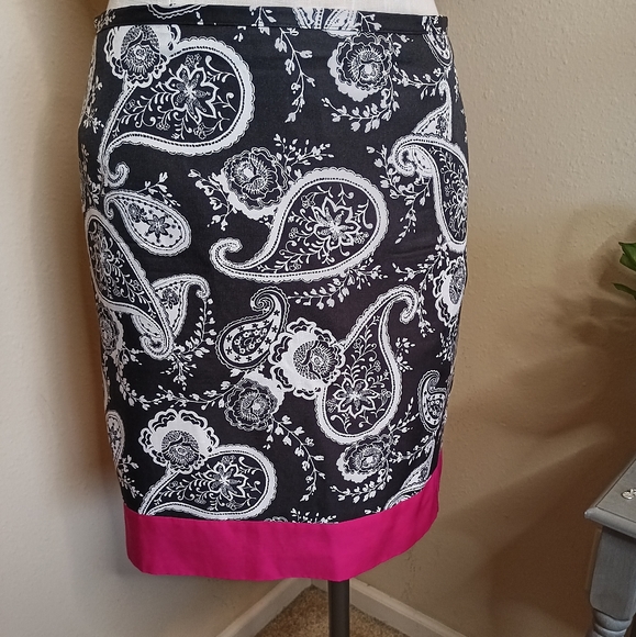 Ann Taylor Loft Petite Silk Skirt 4P - Picture 9 of 14